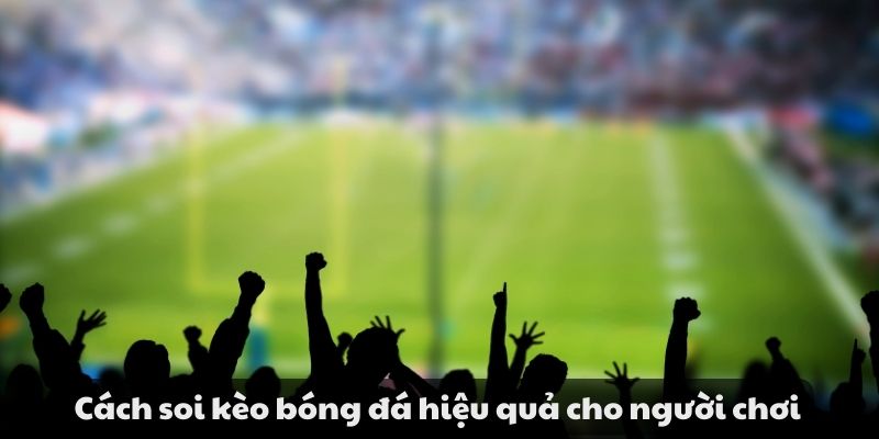 Hướng dẫn cách soi kèo bóng đá hiệu quả cho người mới 